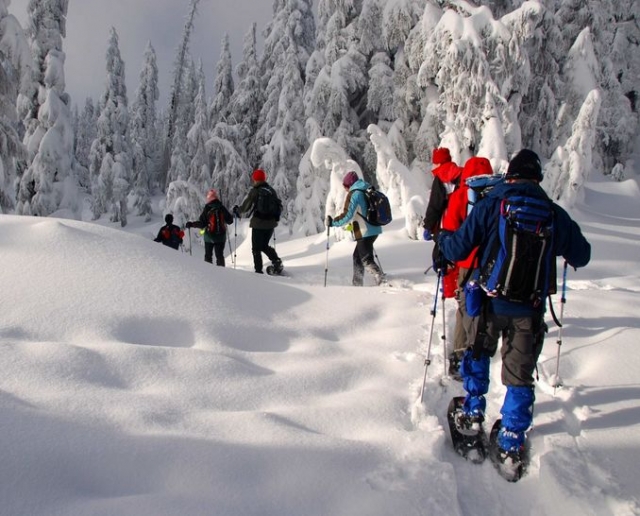  Ruta nocturna con raquetas de nieve en Tignes 